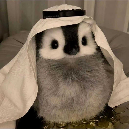 🐧 My Realistic Penguin(Simulation Dolls)